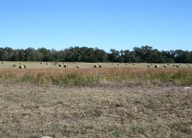 Property at 0 S US Hwy 301, Summerfield, FL 34491