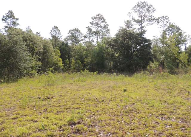 Property at 8391 NE 95th Ave, Bronson, FL 32621