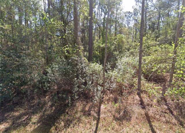 Property at 217 SE 2nd St, Georgetown, FL 32139