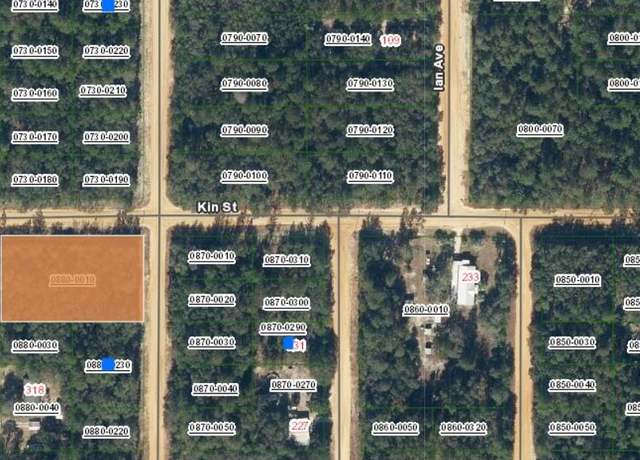 Property at TBD Theresa Ave, Interlachen, FL 32148