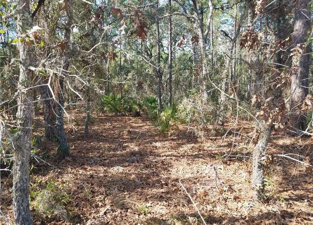 Property at 4 E Elder Ct, Homosassa, FL 34446
