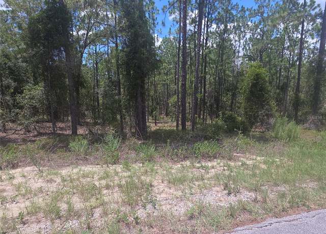 Property at Lot 34 SE 128 Ave, Dunnellon, FL 34431