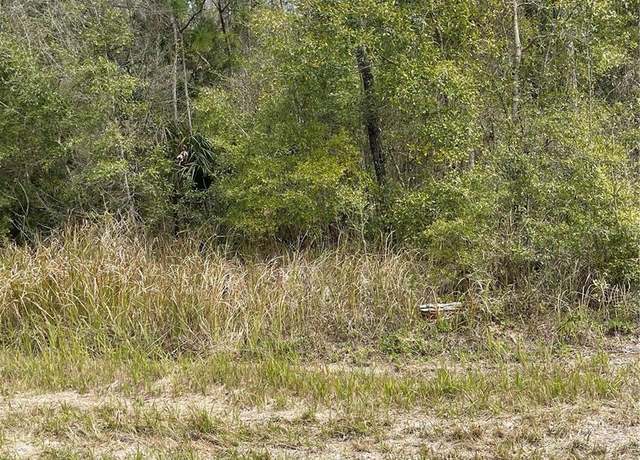 Property at 14139 Pigeon Rd, Hudson, FL 34669