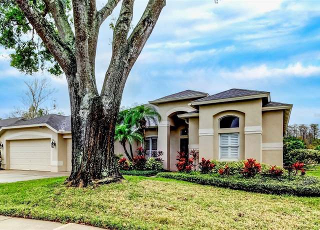 Property at 17320 Hubers Ct, Odessa, FL 33556, 4 beds, 3 baths