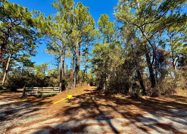 Property at 40001 Maggie Jones Rd, Paisley, FL 32767, 3 beds, 2 baths