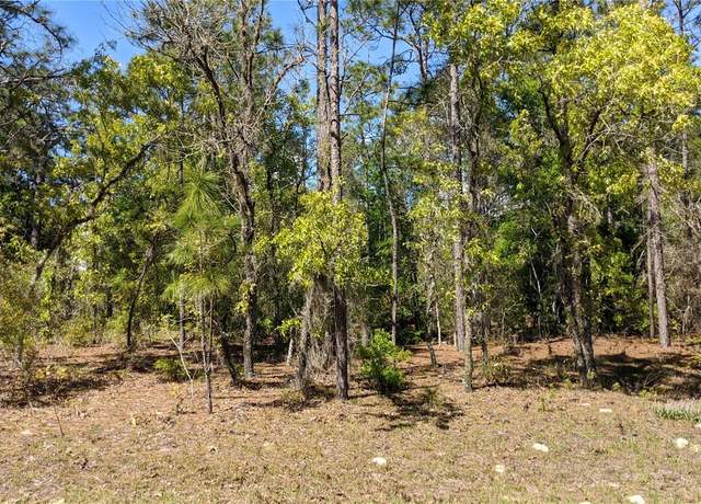 Property at 0 SW 97th Pl, Dunnellon, FL 34432