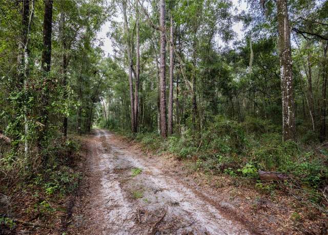 Property at 0 NE 175th Ave, Williston, FL 32696
