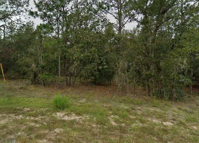 Property at NE 154th Ave #64, Williston, FL 32696