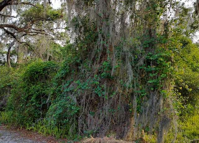 Property at 63 N Sheltering Oaks Dr, Inverness, FL 34453
