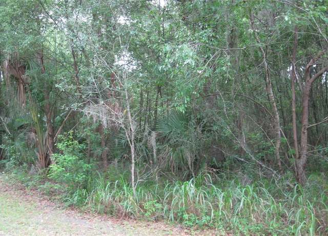Property at Oak Valley Dr, Deland, FL 32720