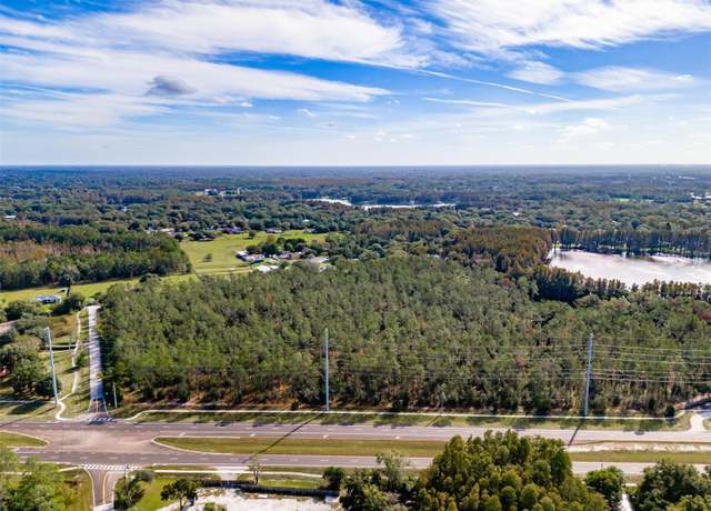 Property at SE Corner OF Holly Lane & S.r. 597 Ln, Lutz, FL 33548