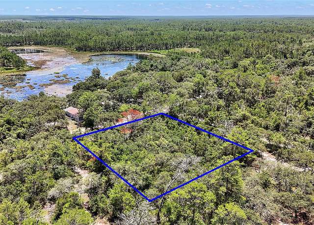 Property at 0 SE 197th Ave, Ocklawaha, FL 32179