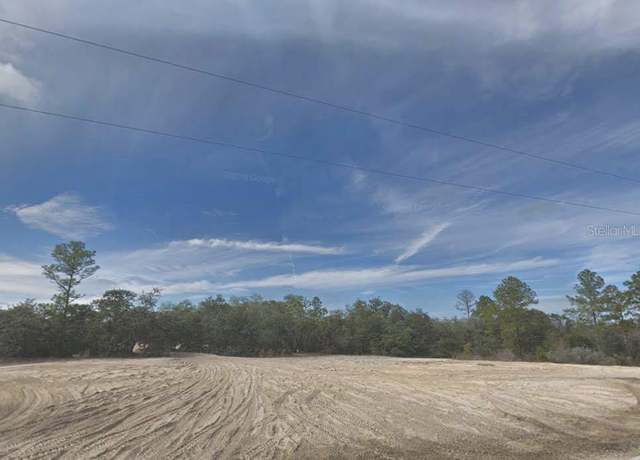 Property at 8197 Hardstone Dr, Webster, FL 33597