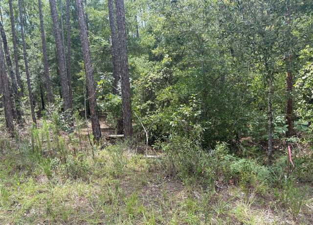 Property at 00 SW 87th Loop, Dunnellon, FL 34431