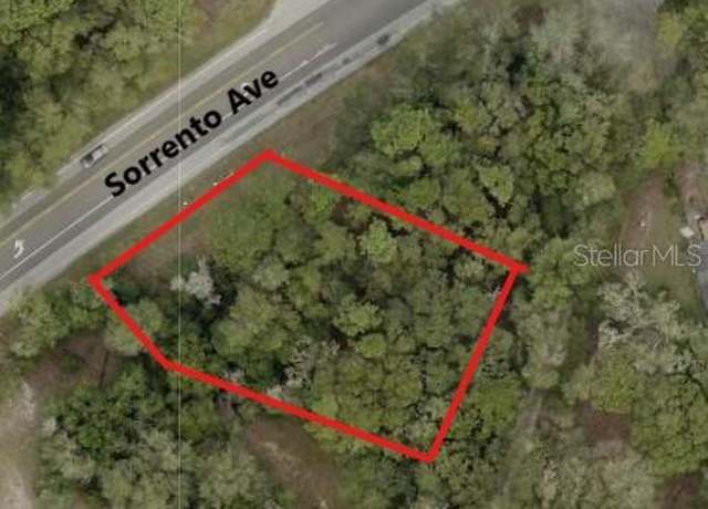 Property at 25904 Sorrento Ave, Mount Plymouth, FL 32776