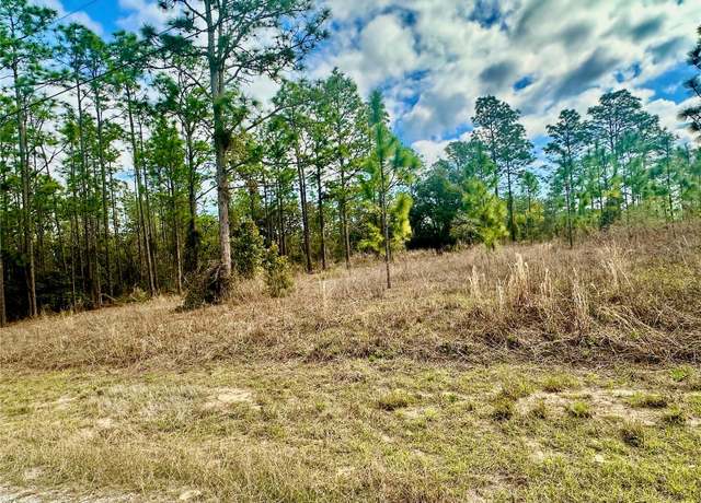 Property at Lot 41 SE 131 Ter, Dunnellon, FL 34431