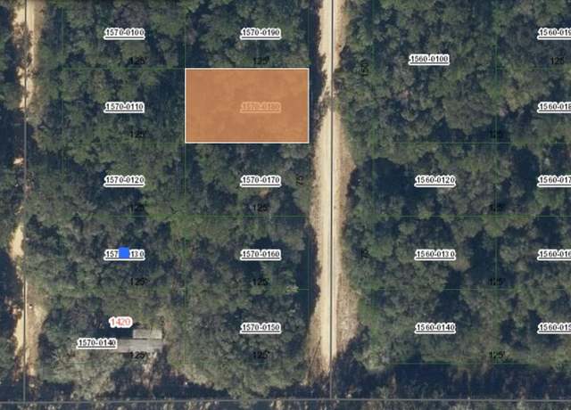 Property at 00 Donys Ave, Interlachen, FL 32148