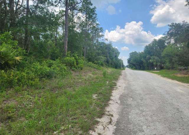 Property at 7143 Alloy St, Webster, FL 33597