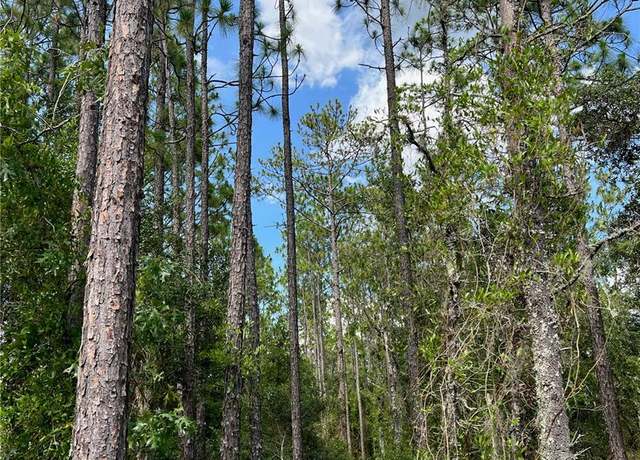 Property at 000 NE 138 Ave, Williston, FL 32696