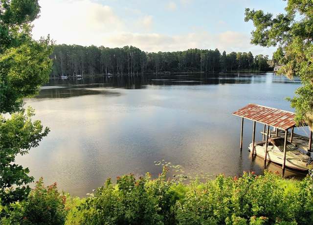 Property at 13826 Windfall Ln, Odessa, FL 33556