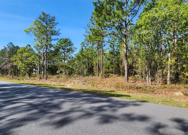 Property at TBD CR 243b, Wildwood, FL 34785