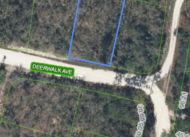 Property at 284 Deerwalk Ave, Lake Placid, FL 33852