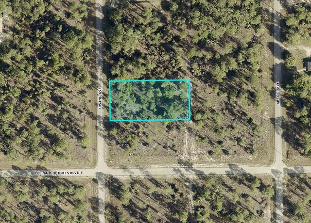 Property at 102 Irving Ave, Lehigh Acres, FL 33936