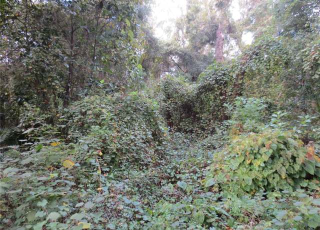Property at NE 174th Ct, Silver Springs, FL 34488