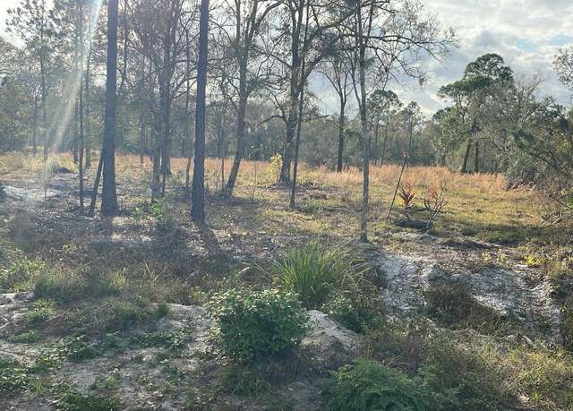 Property at Kelly Ridge Rd, Frostproof, FL 33843
