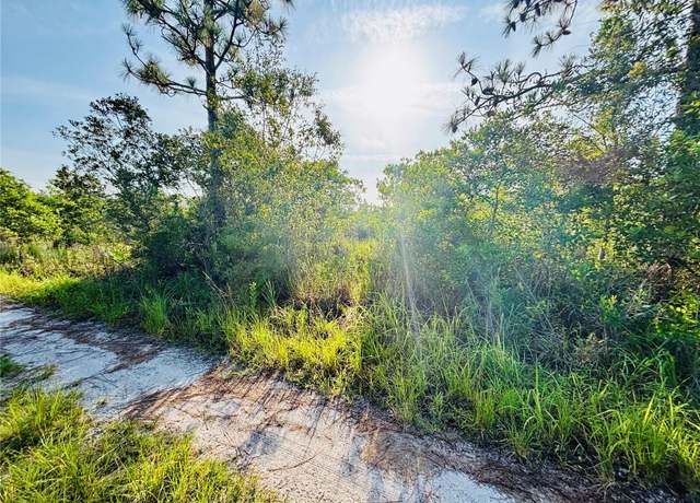 Property at 0 Shakedown St, St Cloud, FL 34773