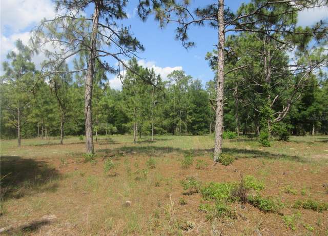 Property at 3201 S Highway 314a, Ocklawaha, FL 32179