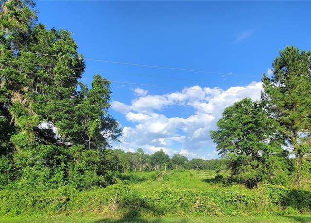 Property at 0 TBD NW 115th Ave, Reddick, FL 32686