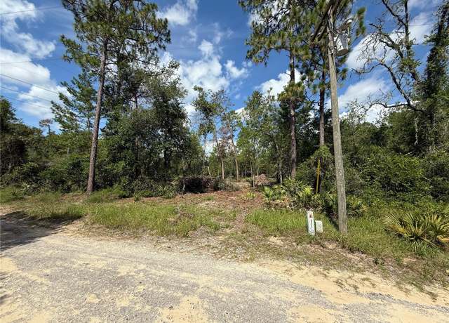 Property at 1st St, Altoona, FL 32702