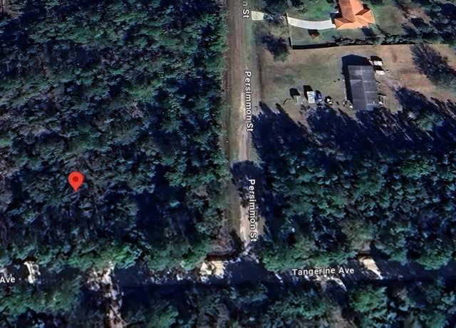 Property at 2956 Persimmon St, Bunnell, FL 32110