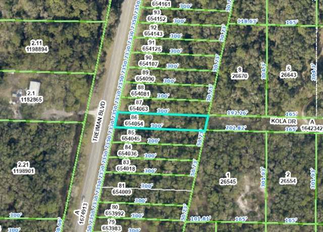 Property at 8250 Treiman Blvd Blvd, Webster, FL 33597