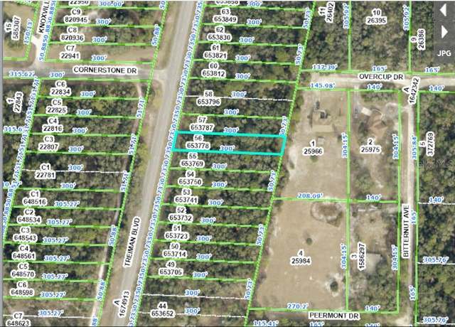 Property at 8086 Treiman Blvd Blvd, Webster, FL 33597