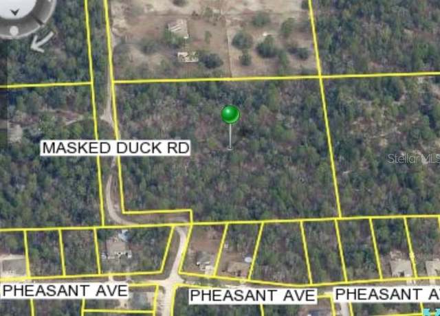 Property at Masked Duck Rd, Brooksville, FL 34614