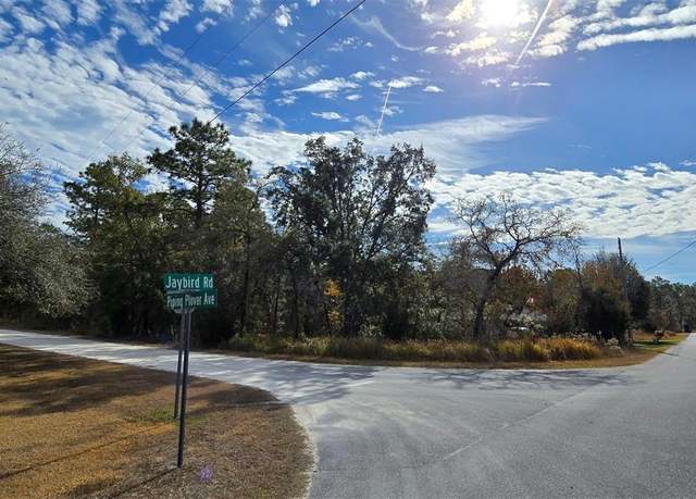 Property at 0 Piping Plover Ave, Brooksville, FL 34614