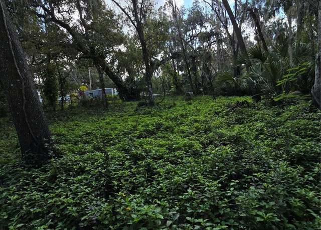 Property at 943 Estelle Ave, Brandon, FL 33511