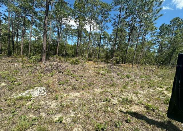 Property at Alvarez Rd, Dunnellon, FL 34431