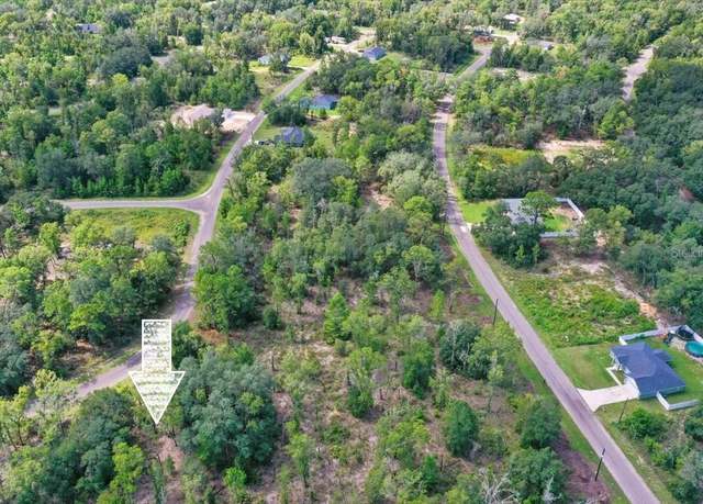 Property at 0024 Guava Pass Dr, Ocklawaha, FL 32179