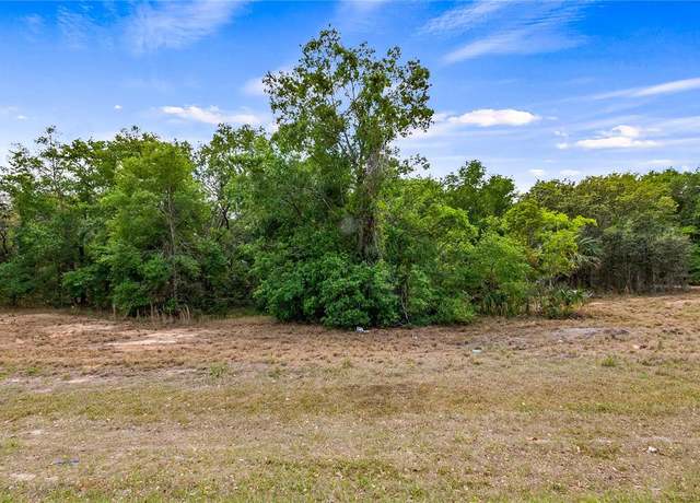 Property at County Road 455, Montverde, FL 34756