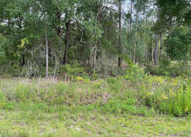 Property at LOT 3 NW Falcon Ave, Dunnellon, FL 34431