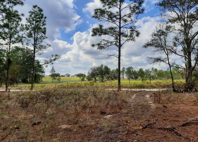 Property at SW 209th, Dunnellon, FL 34431