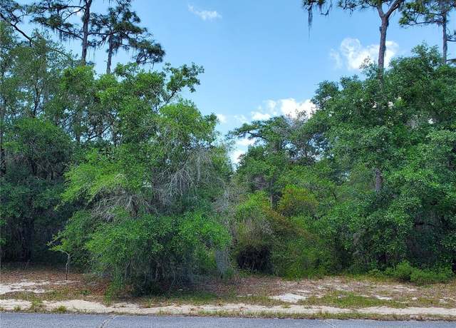 Property at 1345 ST Augustine Ct, Kissimmee, FL 34759