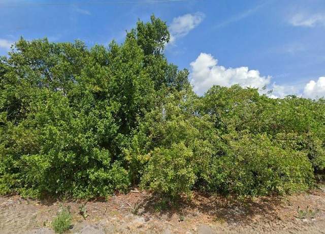 Property at 1018 Gardenia St, Lake Placid, FL 33852