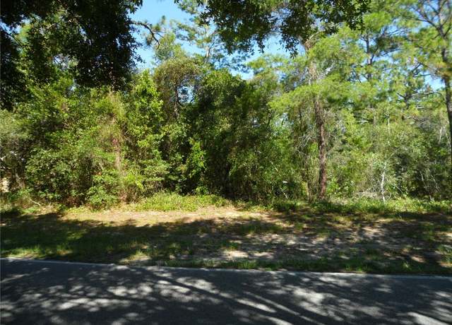 Property at 119 Oak Village Blvd, Homosassa, FL 34446