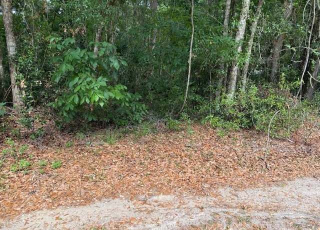 Property at 0 SE 63 Ave, Summerfield, FL 34491