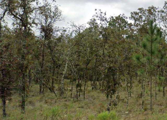 Property at NE 11th Street St, Williston, FL 32696