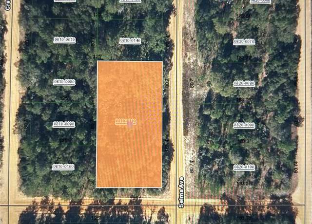 Property at 00 Selma Ave, Interlachen, FL 32148